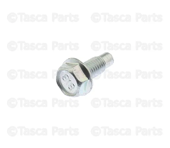 Hinge Bolt - Nissan (01125-N043U)