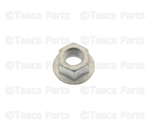 Door Hinge Nut - Nissan (01225-0024U)