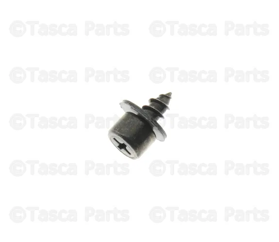Door Belt Molding Screw - Nissan (01464-00181)