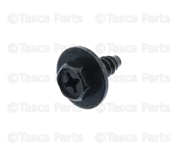 Rocker Molding Screw - Nissan (01466-00103)