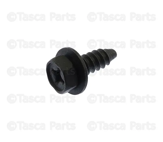 Rocker Panel Molding Screw - Nissan (01466-00241)