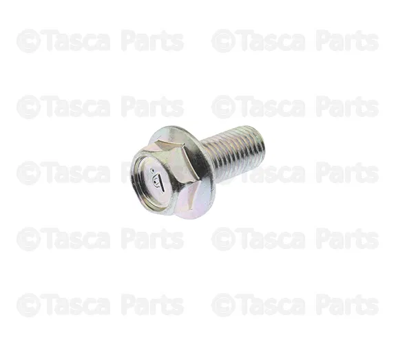 Hinge Bolt - Nissan (081B4-0201A)
