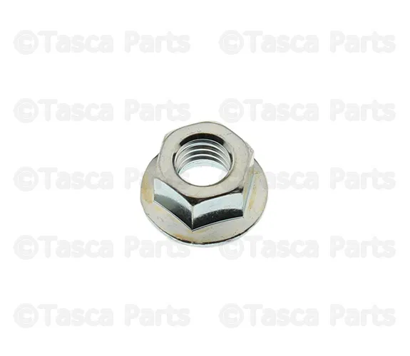 Hinge Nut - Nissan (08918-1081A)