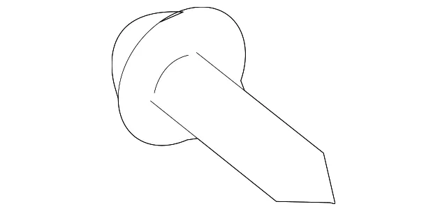 Body Side Molding Screw - Kia (12431-03081)