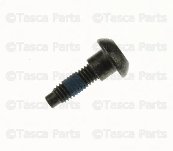 Roof Luggage Carrier Side Rail Screw - Nissan (29914-7Z000)
