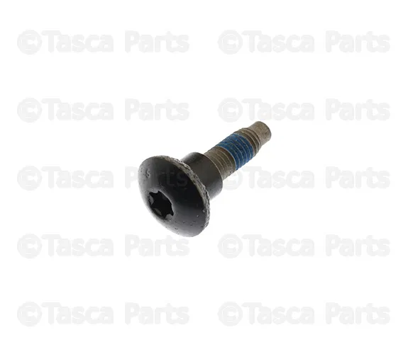 Roof Luggage Carrier Cross Rail Bolt - Nissan (29914-EA51A)