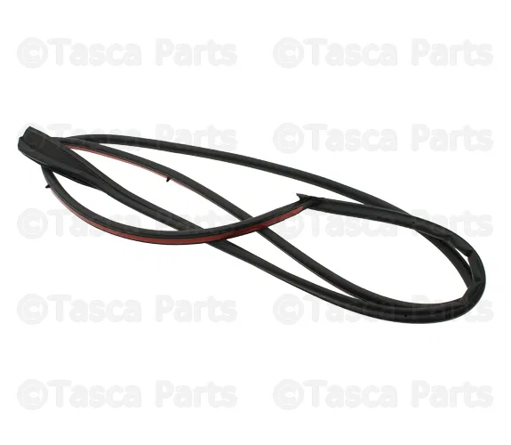 Door Weather-Strip - Passenger Side (RH) - Volvo (30634691)
