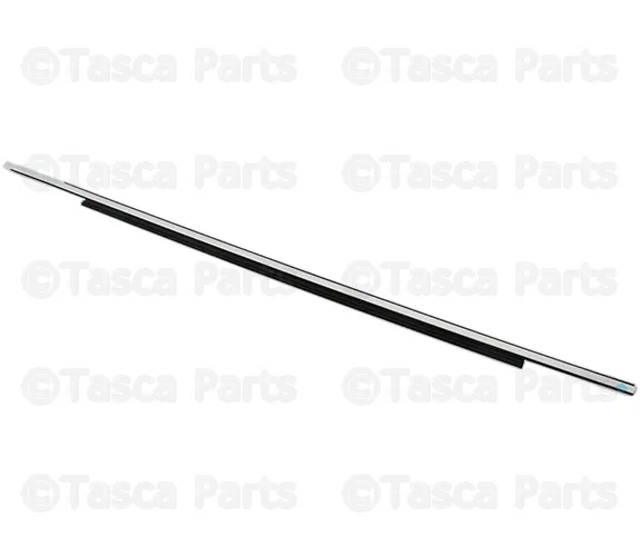 Trim Molding - Volvo (30695748)