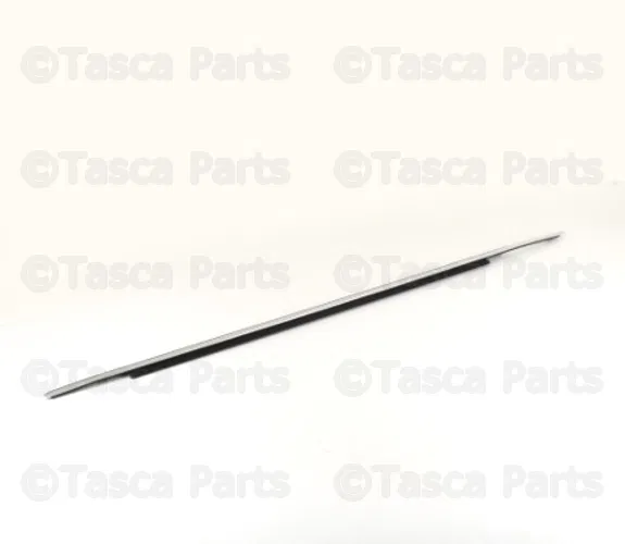 Trim Molding - Volvo (30695749)