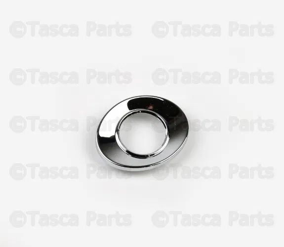 Door Mirror Trim Ring - Volvo (30716060)