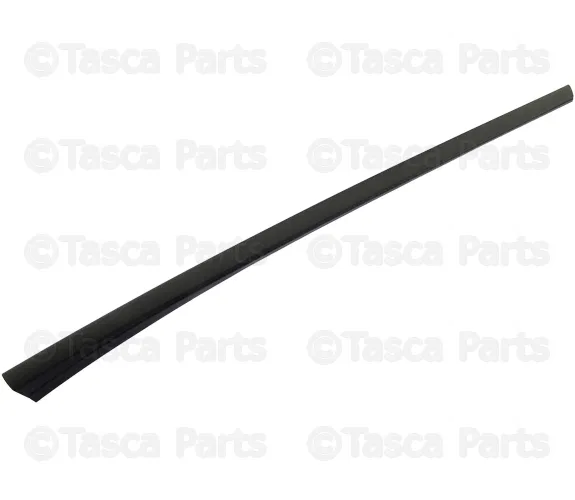 Side Molding - Passenger Side (RH) - Volvo (30753553)