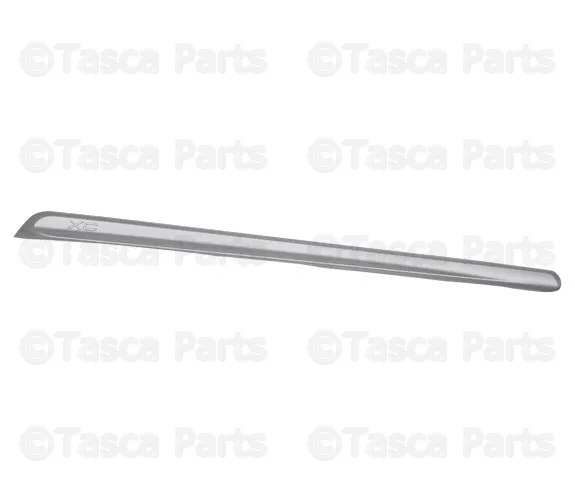 Molding Assembly - Passenger Side (RH) - Volvo (30756295)
