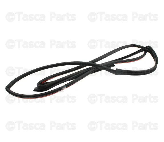Door Seal - Volvo (30762361)