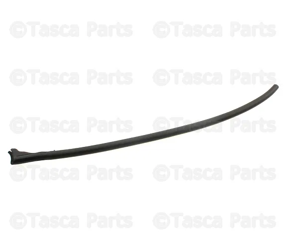 Door Seal - Volvo (30762363)