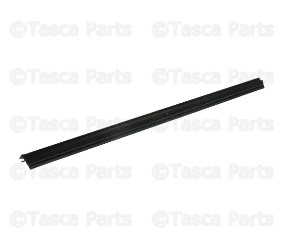 Door Window Belt Weatherstrip - Volvo (30762372)