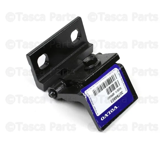 Hinge - Volvo (30784903)