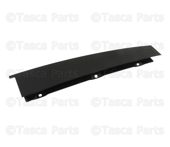 Door Applique - Volvo (30799057)