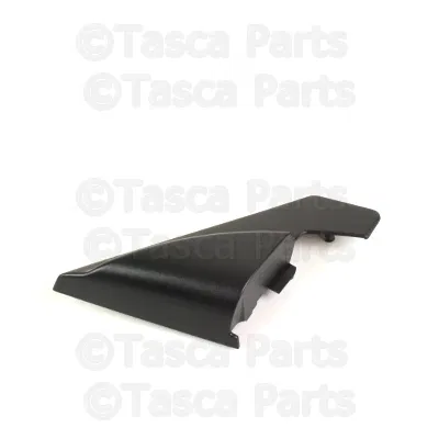 Door Mirror Cover - Volvo (30800259)