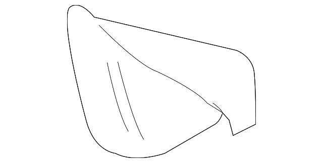 Door Mirror Cover - Volvo (30800260)