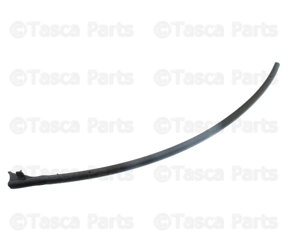 Door Seal - Volvo (31217899)