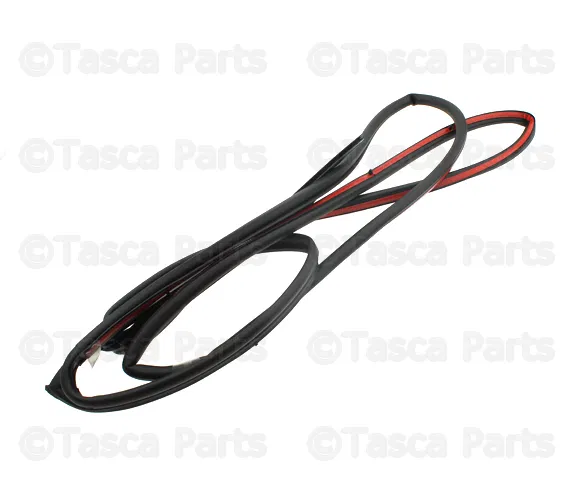 Door Weather-Strip - Driver's Side (LH) - Volvo (31278569)