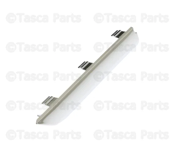 Lower Molding - Volvo (31290847)