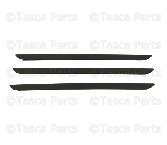 Molding Strip - Volvo (31373263)