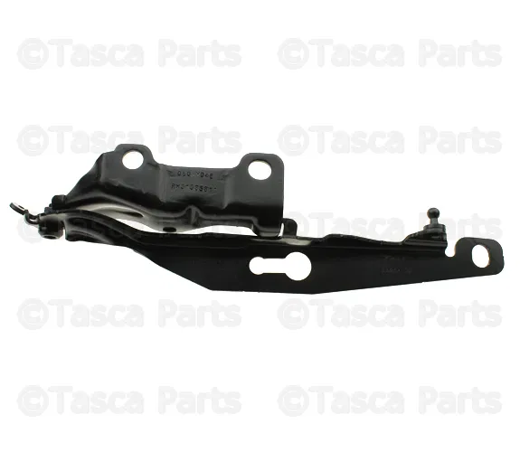 Hinge - Passenger Side (RH) - Volvo (31385811)