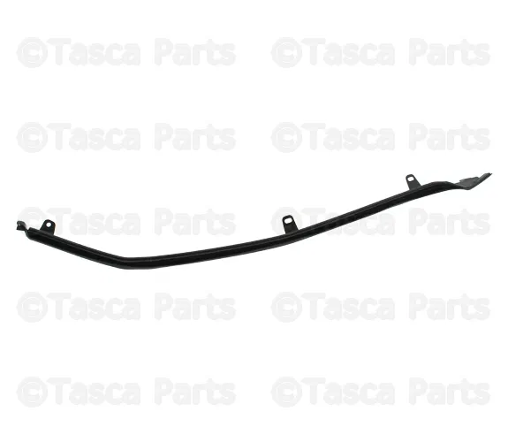 Door Outer Panel Seal - Volvo (31424261)