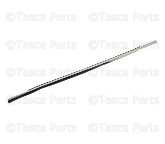 Trim Molding - Volvo (31479531)