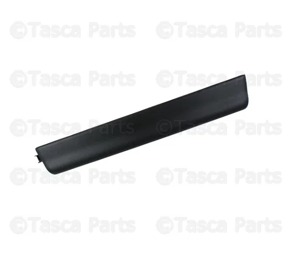Door Sill Plate - Volvo (39810363)