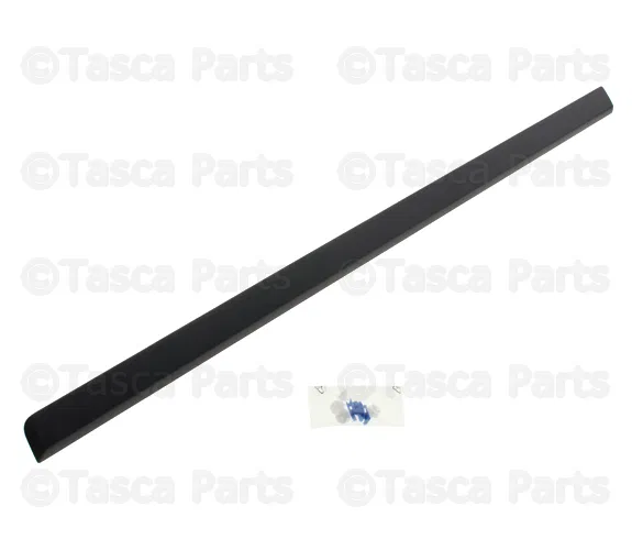Lower Door Trim - Volvo (39862129)