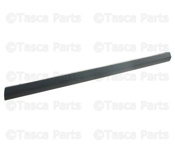 Body Side Molding - Volvo (39885604)
