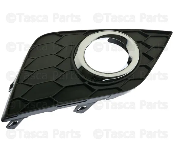 Finish Molding - Passenger Side (RH) - Nissan (62256-4AF0A)