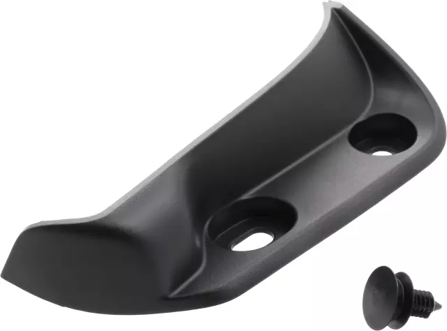 Trim Molding - Driver's Side (LH) - Nissan (62257-EZ00C)