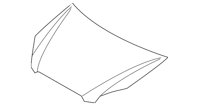 Hood - Kia (66400-1D010)