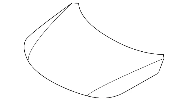Hood - Kia (66400-1U000)