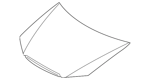 Hood - Kia (66400-2F010)