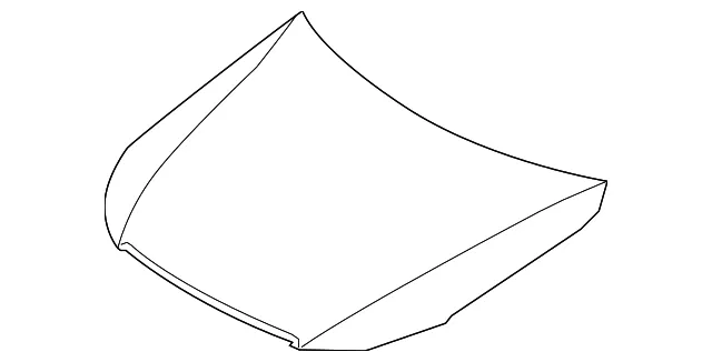 Hood - Kia (66400-2J010)
