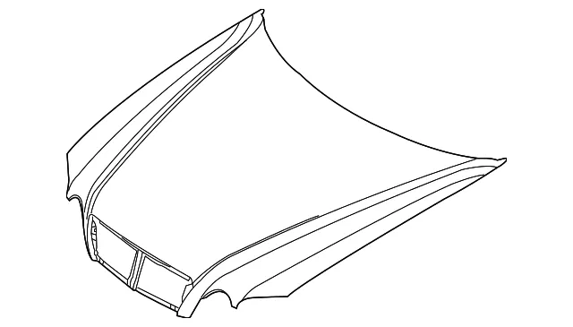 Hood - Kia (66400-3C800)