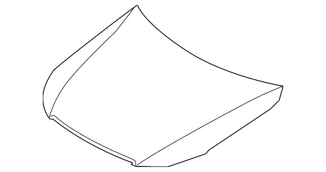 Hood - Kia (66400-3T000)