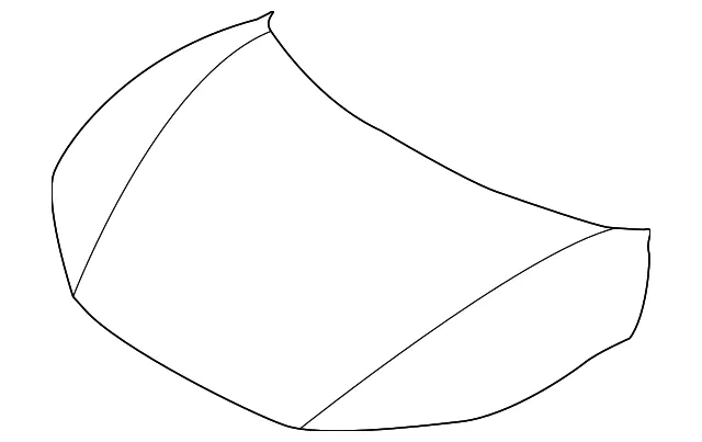 Hood - Kia (66400-CV000)