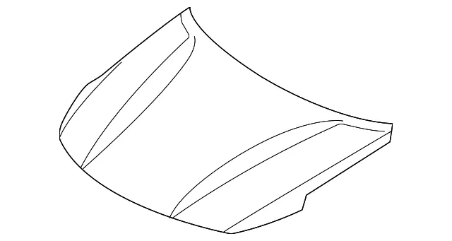 Hood - Kia (66400-D4000P)