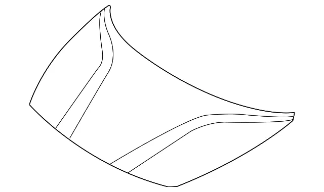 Hood - Kia (66400-H8000)