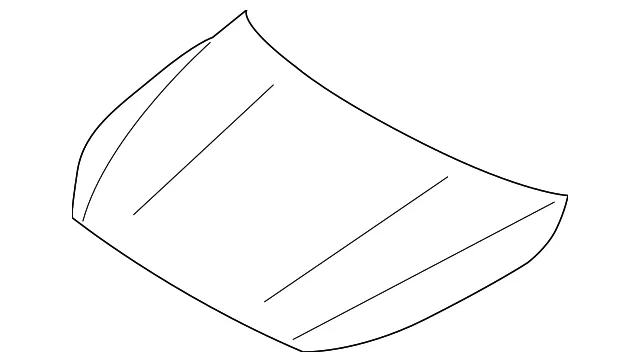 Hood - Kia (66400-M6000)