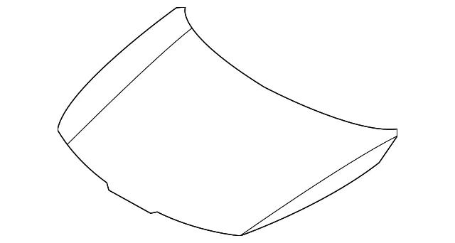 Hood - Kia (66400-P1000)
