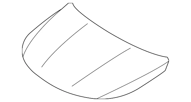 Hood Panel - Kia (66400-R5000)