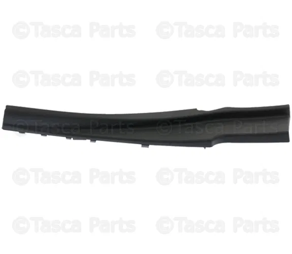 Upper Molding - Passenger Side (RH) - Nissan (66894-EZ00A)