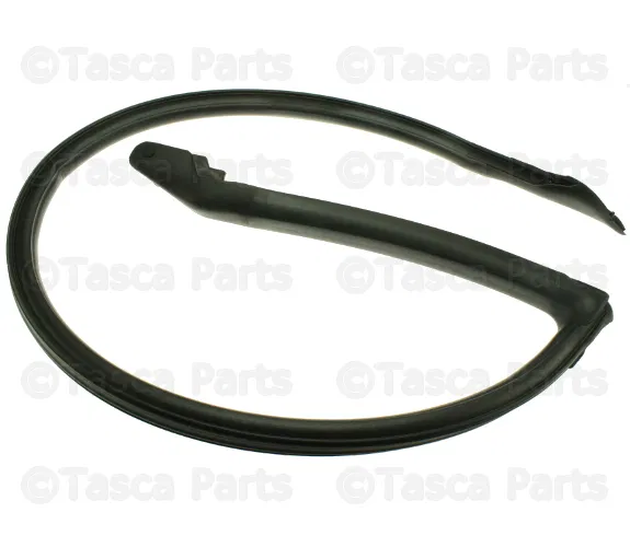 Weatherstrip - Passenger Side (RH) - Nissan (76860-35F02)