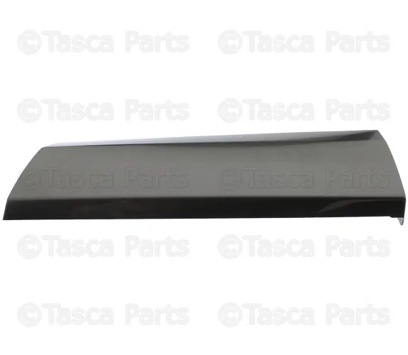Body Trim Molding - Nissan (78873-1GR0A)